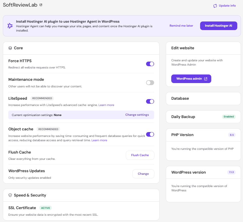 Hostinger review: WordPress overview in hPanel with LiteSpeed cache, WordPress admin button, daily backup and PHP 8.5