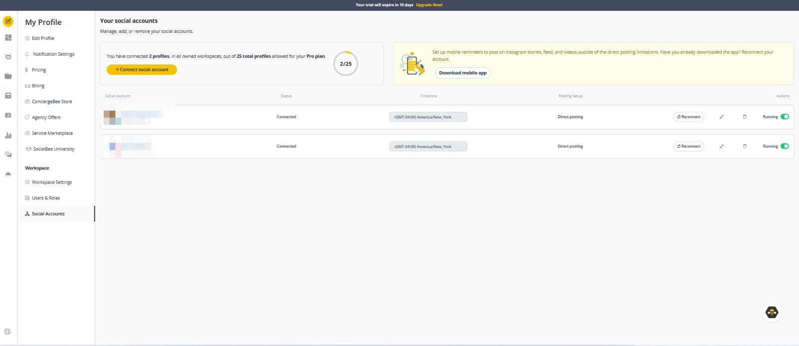 SocialBee review: connected social accounts with status, time zone and posting setup
